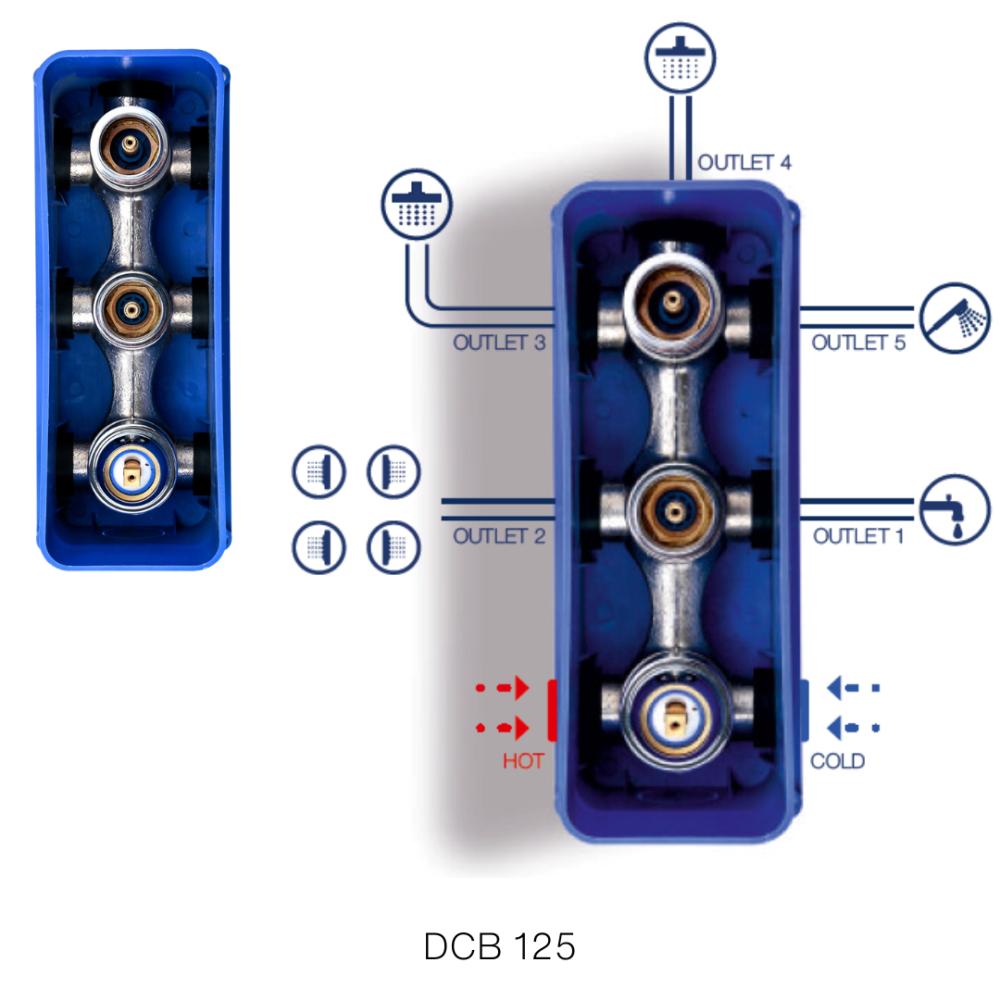 Single Lever Concealed Mixer & Diverter (2 Inlet & 5 Outlet) Concealed Body